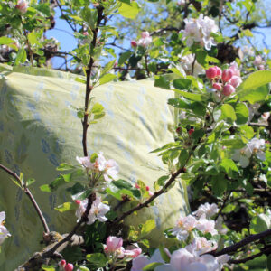 Kollektion Portugal - Kissenhüllen - Folhas Grün